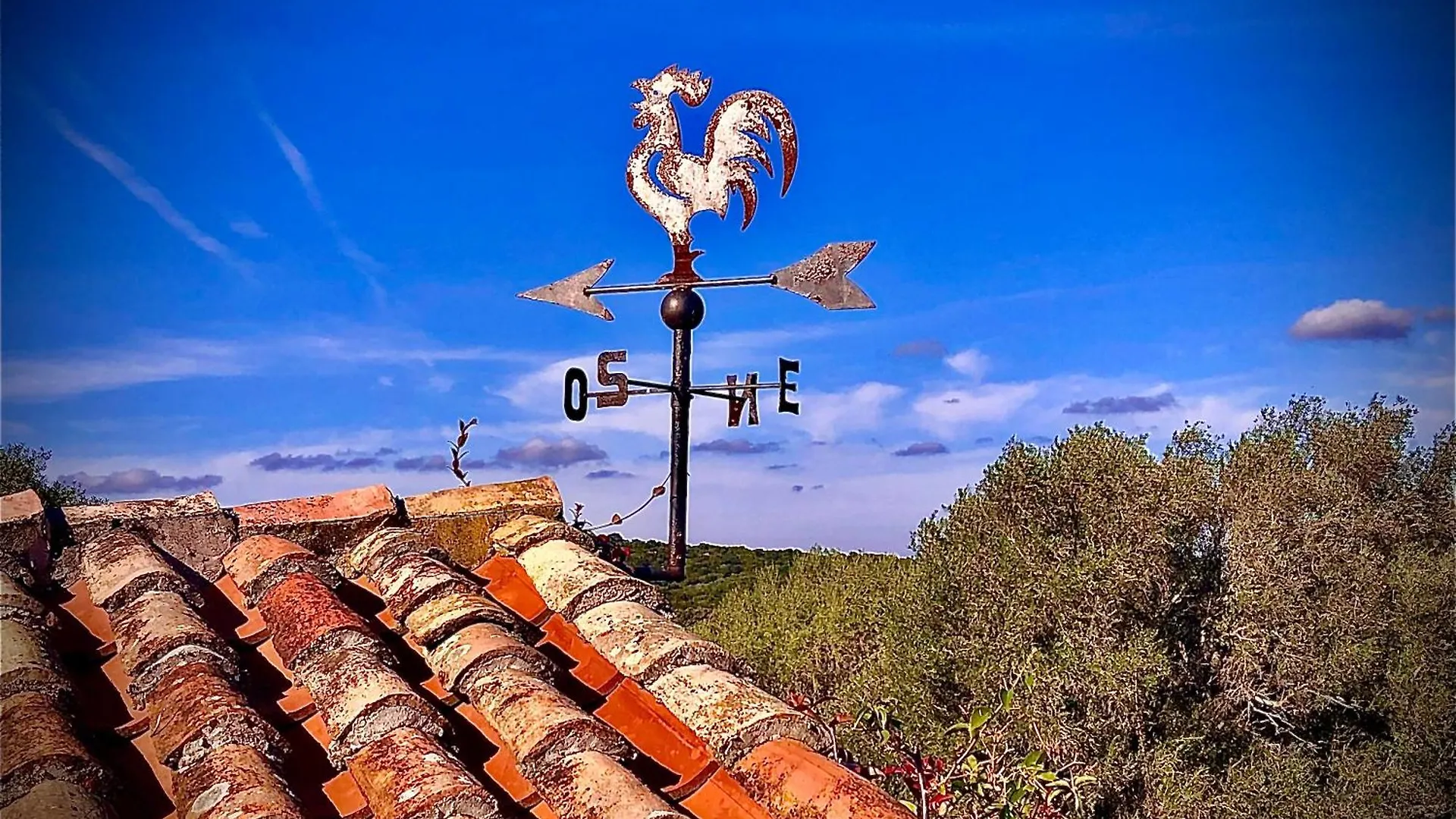 Spartaco Eco Retreat San Pantaleo Sole Ruiu Guest house