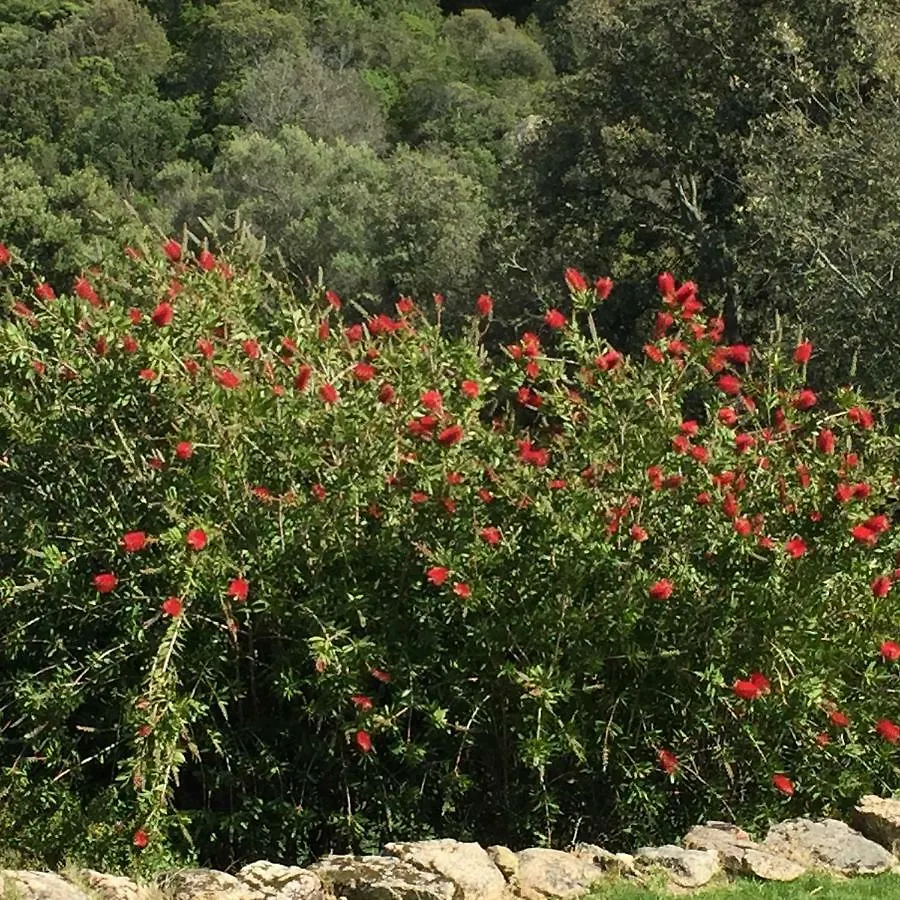 Spartaco Eco Retreat San Pantaleo Sole Ruiu