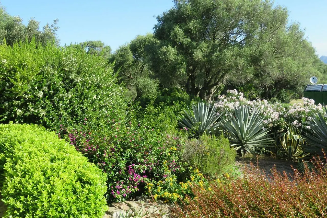 Spartaco Eco Retreat San Pantaleo Sole Ruiu Italie